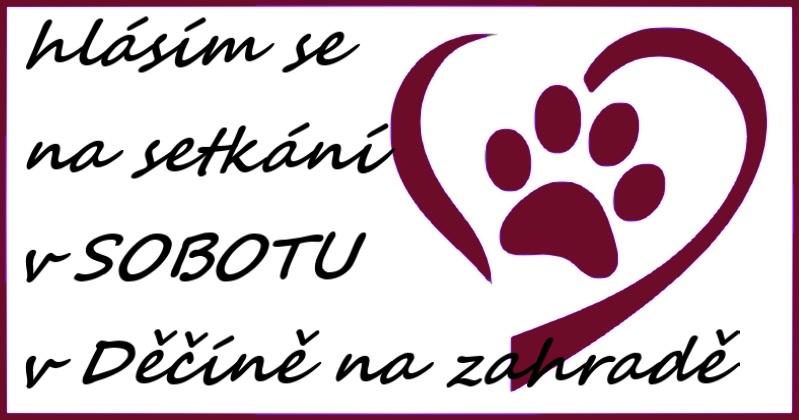 skupinová socializace